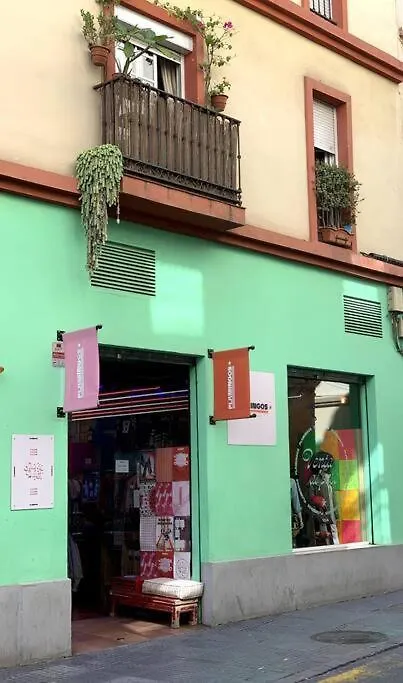 Apartment Downtown Flat With 46 Sqm Private Rooftop Terrace Malaga Spain