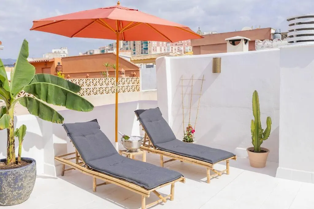 Downtown Flat With 46 Sqm Private Rooftop Terrace Malaga Apartment