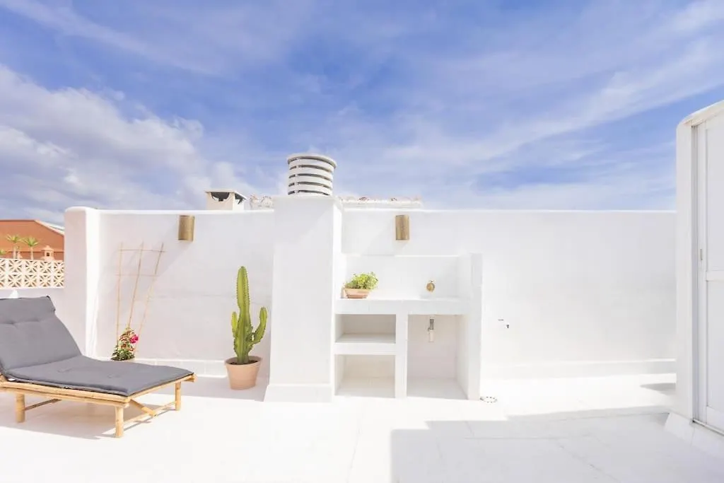 Downtown Flat With 46 Sqm Private Rooftop Terrace Malaga Spain